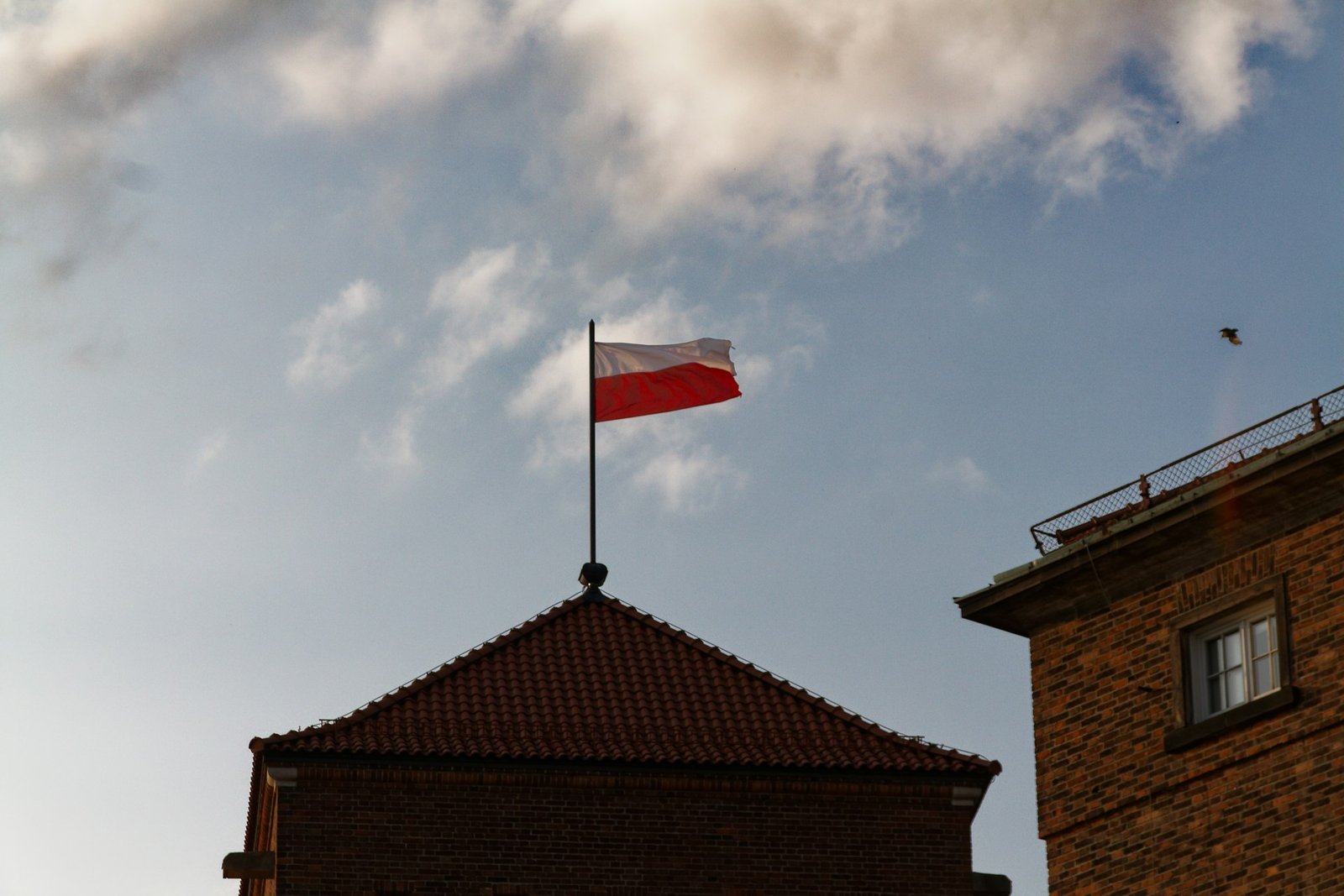 Do You Need to Speak Polish to Apply for Citizenship by Descent?